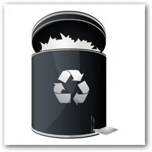 Иконка Wise Program Uninstaller